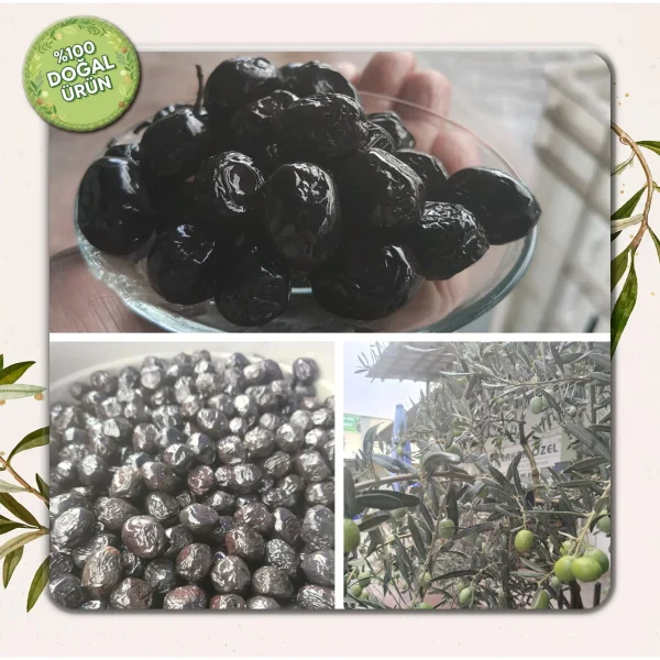 Az Tuzlu Gemlik Sele